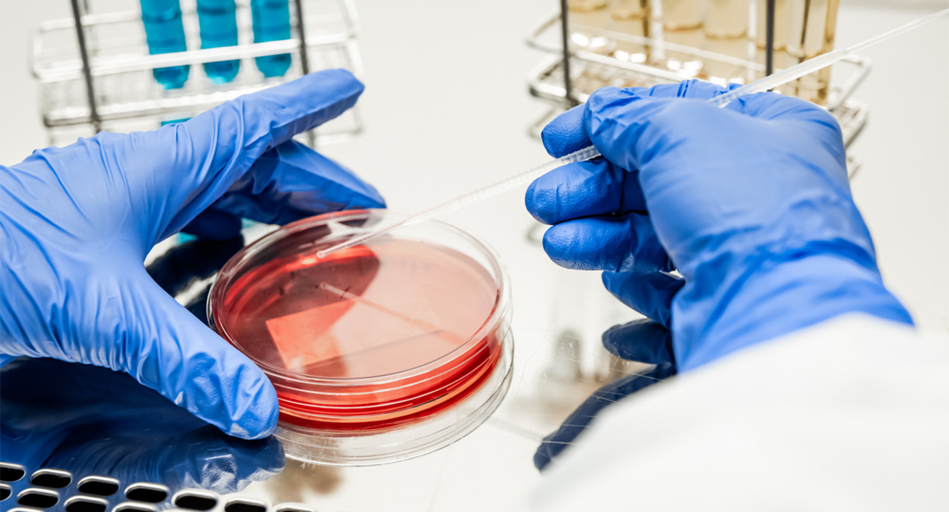 Scientist with a petri dish for beverage quality testing