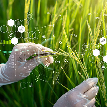 A gloved scientist inspecting green grass, showing agriculture in the Netherlands.