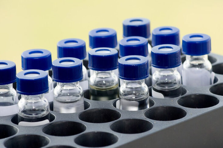 A rectangular laboratory tray organized with multiple clear glass sample vials featuring blue caps
